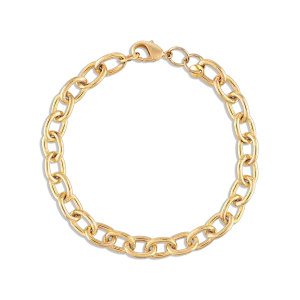 Paloma Link Anklet